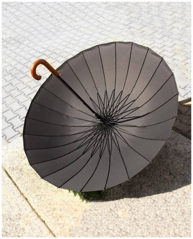 Зонт-трость семейный Pasio 135, 24 спицы, ручка крюк дерево