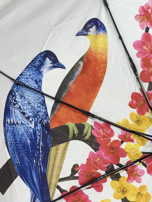 Зонт женский Arman Umbrella 555, полный автомат, чёрно-белый, двухсторонний Зонт женский Arman Umbrella 555, полный автомат, чёрно-белый, двухсторонний