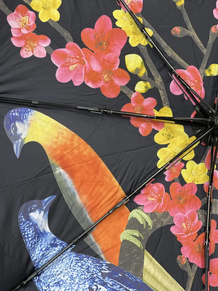 Зонт женский Arman Umbrella 555, полный автомат, чёрно-чёрный, двухсторонний 