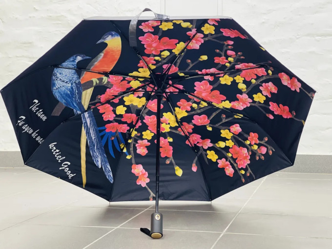 Зонт женский Arman Umbrella 555, полный автомат, чёрно-чёрный, двухсторонний  Зонт женский Arman Umbrella 555, полный автомат, чёрно-чёрный, двухсторонний