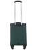 Чемодан для ручной клади Rion+, 453/4  18"