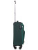 Чемодан для ручной клади Rion+, 453/4  18"