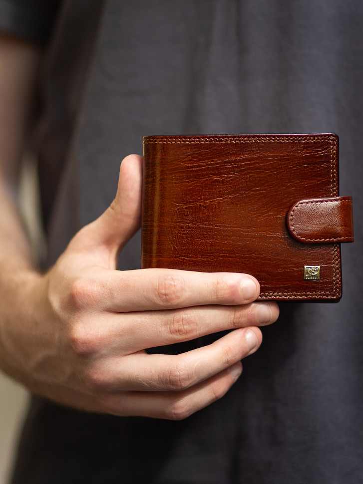 Портмоне мужское Cosset F14-327-089b коричневое