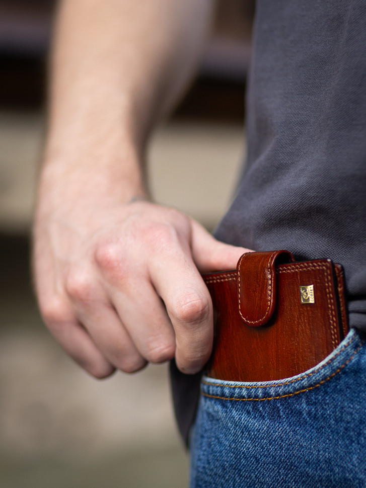 Портмоне мужское Cosset F14-327-089b коричневое