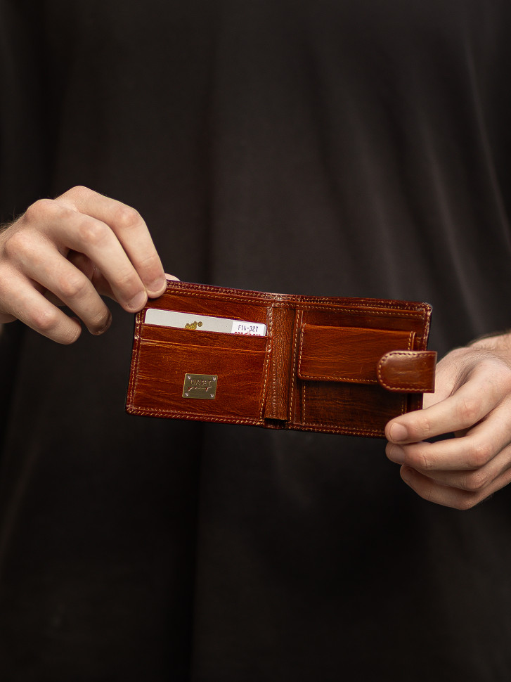 Портмоне мужское Cosset F14-327-1435B коричневое