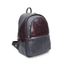 Рюкзак Kalinovskaya Р-43.741-8 серый/бордо