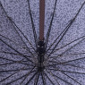 Зонт S.ANСLA 8228 тигр