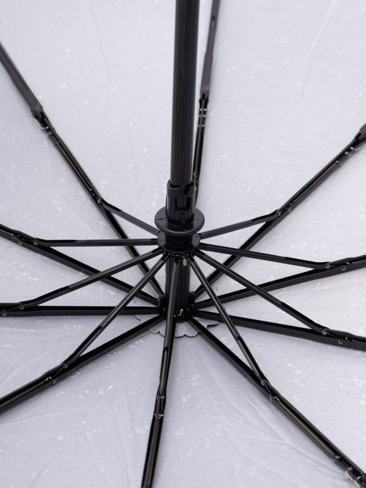 Зонт женский EuroClim 136 достопримечательности Петербурга Зонт женский EuroClim 136 достопримечательности Петербурга