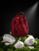 Рюкзак городской David Jones 7637 windsor wine Рюкзак городской David Jones 7637 windsor wine